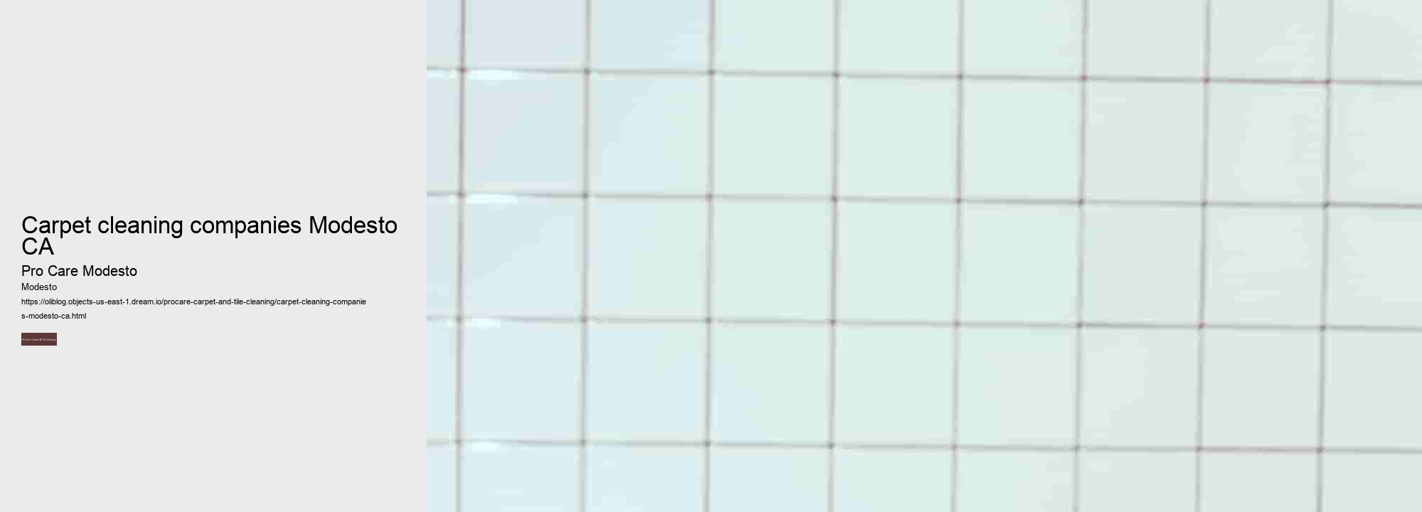 carpet cleaning companies Modesto CA