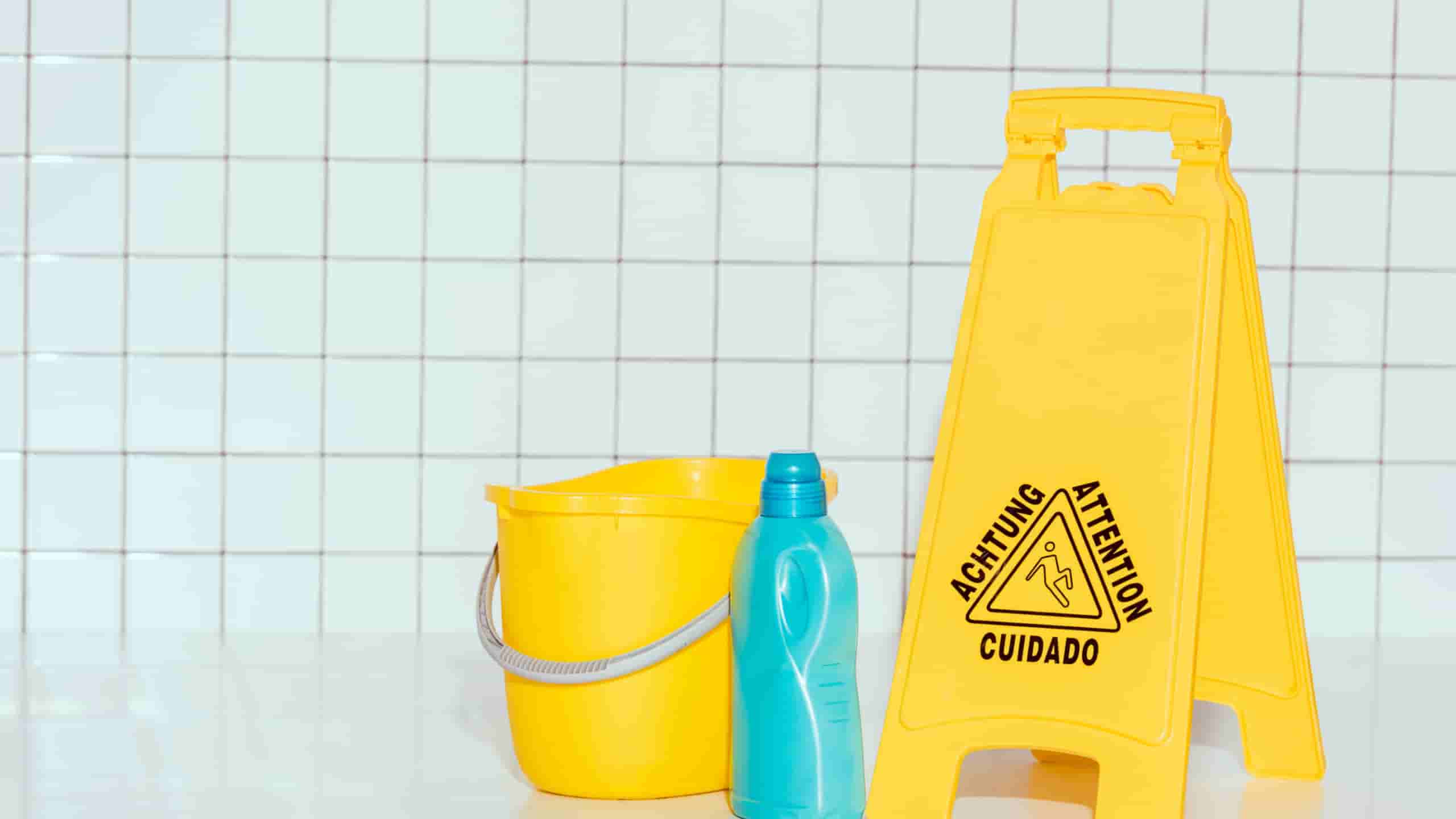 How to Choose the Best Carpet Cleaner for Your Home